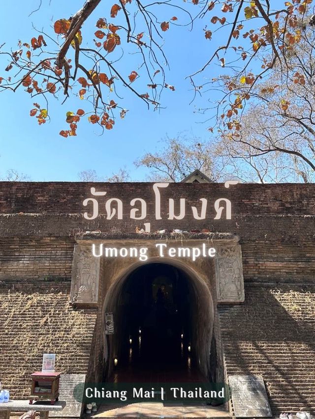 วัดอุโมงค์ สวนพุทธธรรม วัดสวยเชียงใหม่