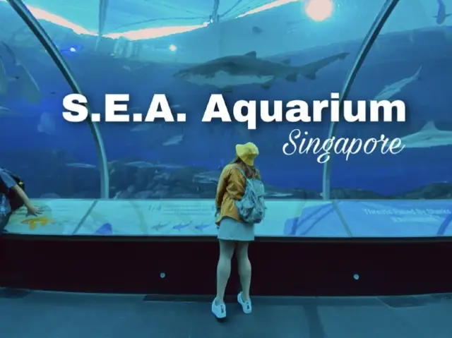 SEA Aquarium พิพิธภัณฑ์สัตว์น้ำ สิงคโปร์ 🦭