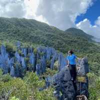 The Famous Mulu Pinnacles