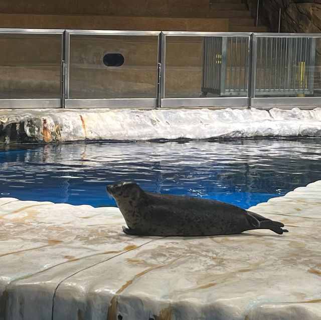 海洋公園：北極之旅