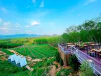 ปันปาย คาเฟ่เปิดใหม่ สุราษฎร์ธานี