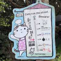 Houtong Cat Village 🐈