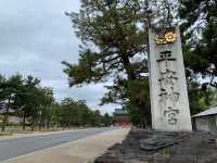 京都　京都観光　2023年平安神宮の桜！