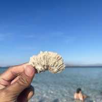 Pulau Taka Makassar 