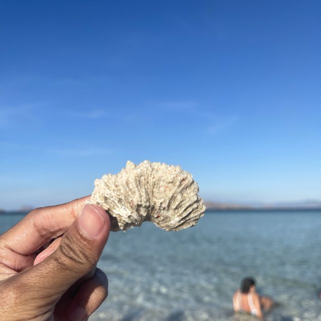 Pulau Taka Makassar 