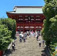 【 神奈川 / 鎌倉 】鎌倉文化の起点！鶴岡八幡宮⛩️