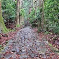 熊野古道體驗日本優美行山徑