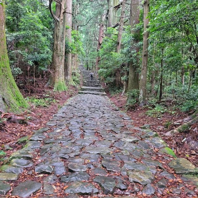 熊野古道體驗日本優美行山徑