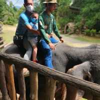 Kenyir Elephant Conservation Village