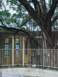 《台南》警察署改建的美術館 林志玲包場舉辦婚禮-台南美術館一館