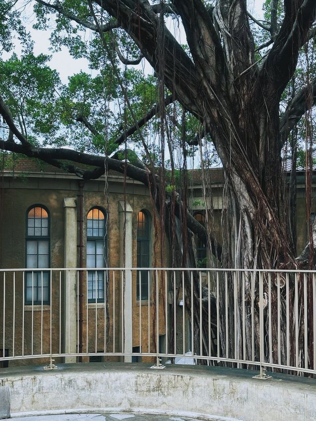 《台南》警察署改建的美術館 林志玲包場舉辦婚禮-台南美術館一館