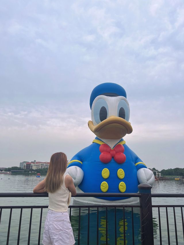 Disney Magic from the Outside 🪄 🏰 