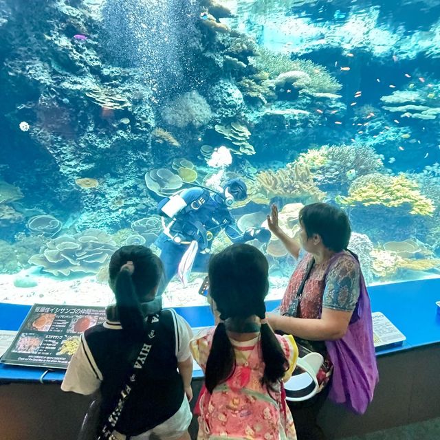 如果沒來過美麗海水族館就等於沒來過沖繩