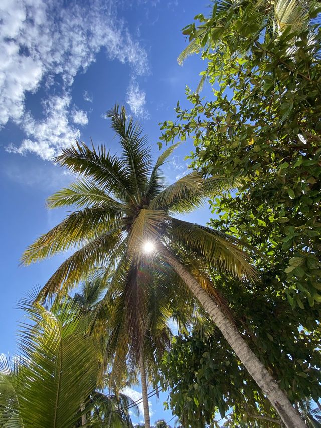 Spectacular view @Salang Beach 🏝️