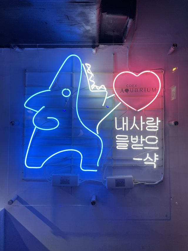 【三成】1日遊べる！スターフィールドcoexモール🇰🇷