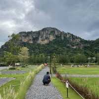 Iko Camp and Cafe