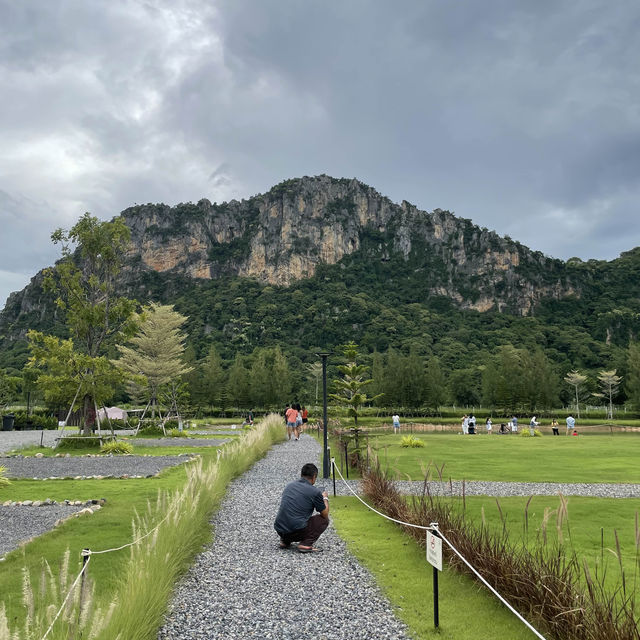 Iko Camp and Cafe