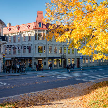 Visit Gothenburg in the fall is just  👌🏻