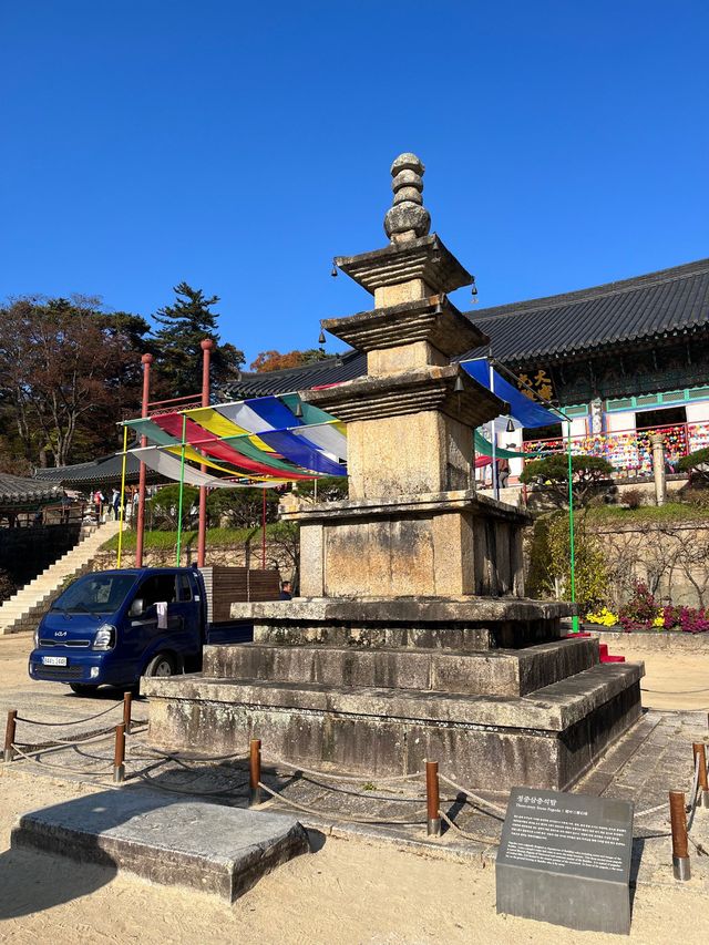 가을단풍은 해인사로~