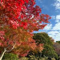【京都】穴場の紅葉スポット！渉成園
