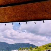 คาเฟ่บนเขา