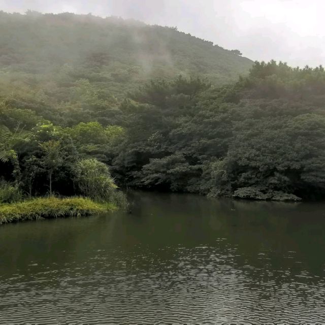 山裡雲間陽明山二子坪步道