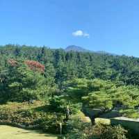 제주도 한라산뷰로 색다른 힐링을 즐겨요