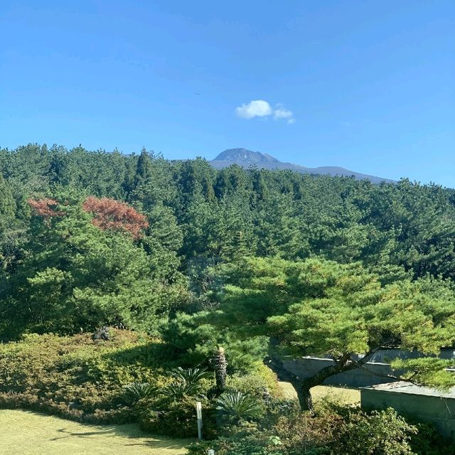 제주도 한라산뷰로 색다른 힐링을 즐겨요