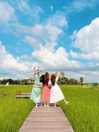 泰國曼谷近郊打卡 | meena cafe 🌾  稻田咖啡廳