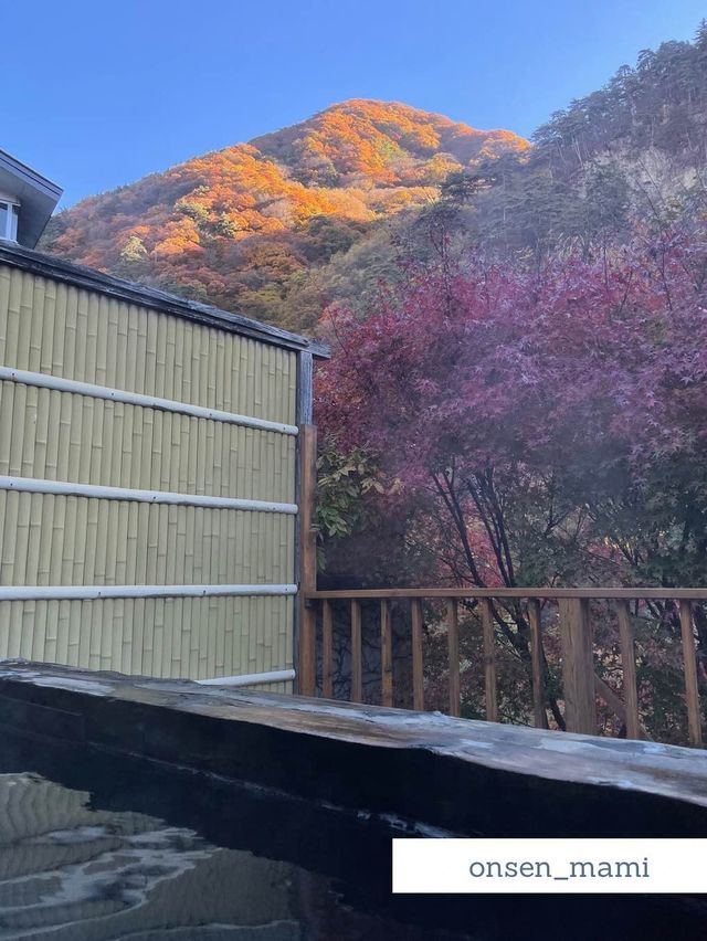 【群馬 老神温泉】紅葉が綺麗に見えるもう一つの大浴場と露天風呂♨️