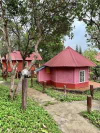 Angkor Forest Resort- Mondulkiri ⛰️🌳🪵🛖🏡🍲