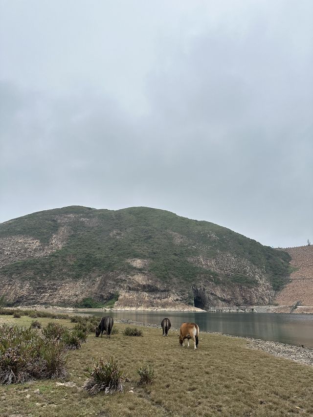📍西貢萬宜水庫東壩