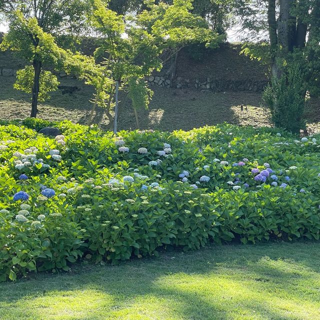 nijo castle garden 