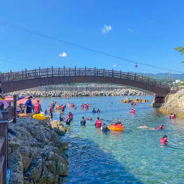 한국의 나폴리 📍삼척 장호항 스노클링 스팟