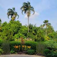Beauty of Singapore Botanical Gardens