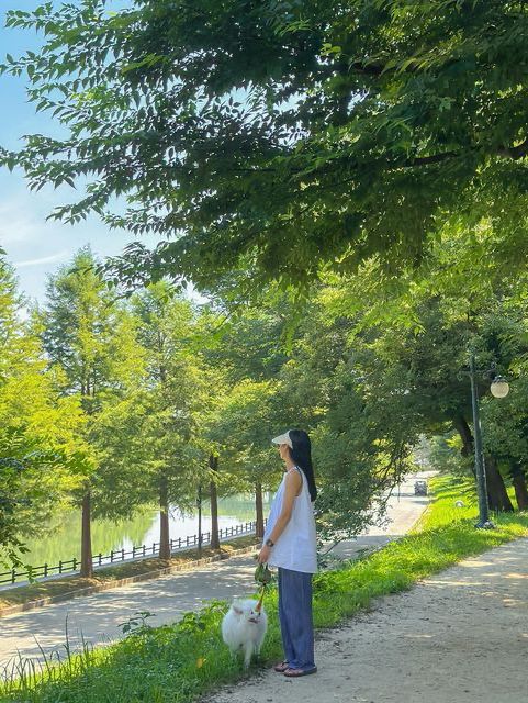 내가 여름의 담양을 좋아하는 이유🍃💚