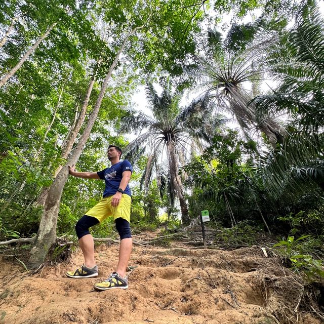 Climbing the Broga Hills