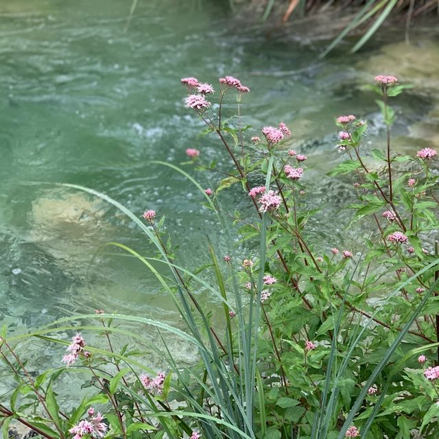 Great walk admidst waterfalls & emerald lakes