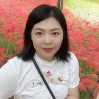 Hoa Bỉ Ngạn 