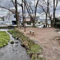 【静岡県】富士山を感じる水の都の「白滝公園」