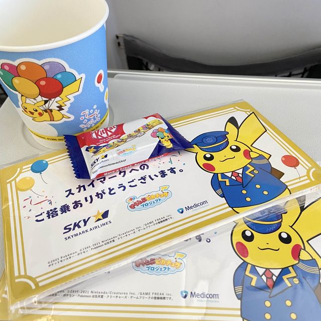 📍ピカチュウジェット搭乗記