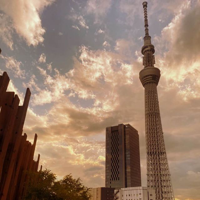 東京高質酒店-ONE@Tokyo