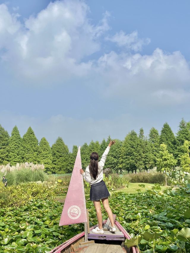 청산수목원 거대팜파스🤍