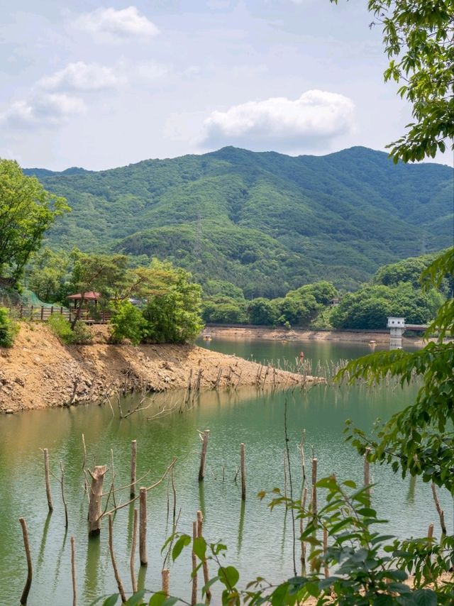 산책하기좋은 마장호수 출렁다리
