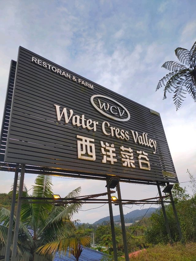 Water Cress Valley @ Cameron Highland 