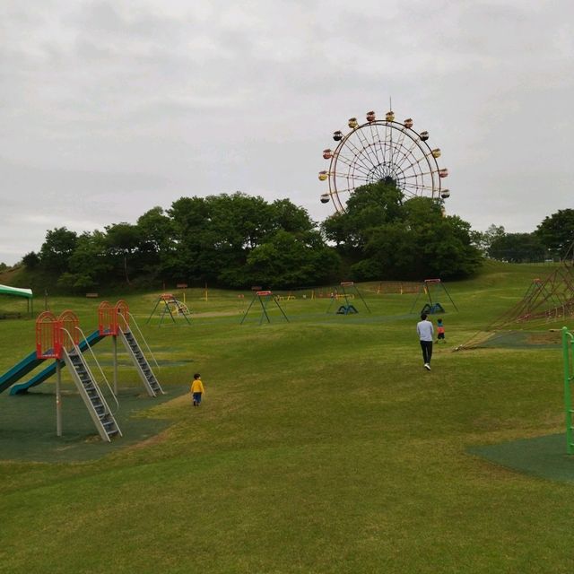 ネモフィラの絶景を楽しめる穴場スポット
