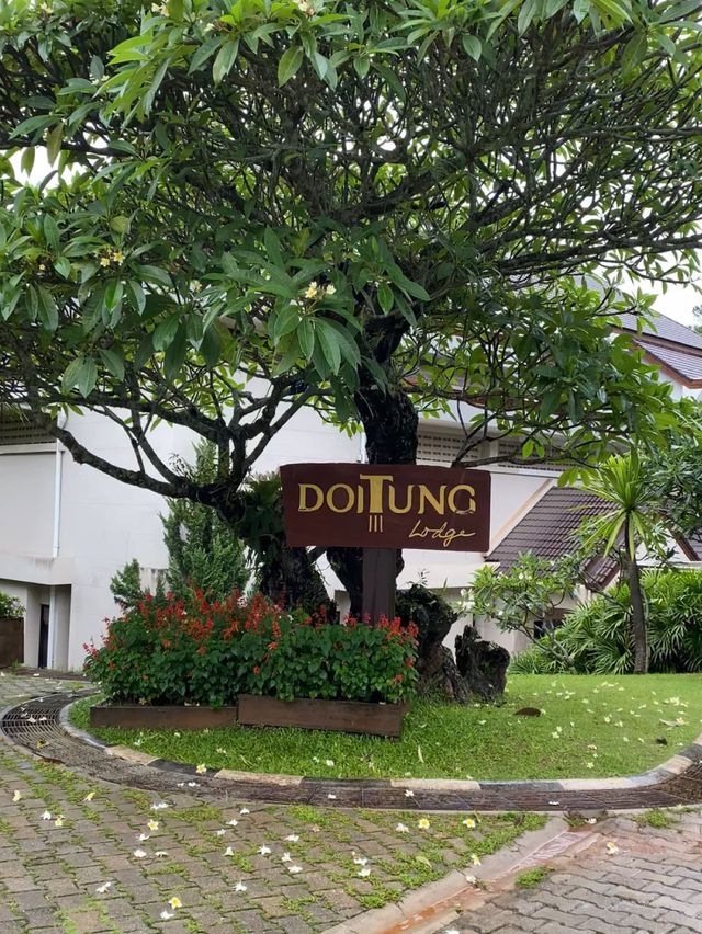 ที่พัก Doi Tung Lodge บนดอยตุงแม่ฟ้าหลวงสวย สะอาด