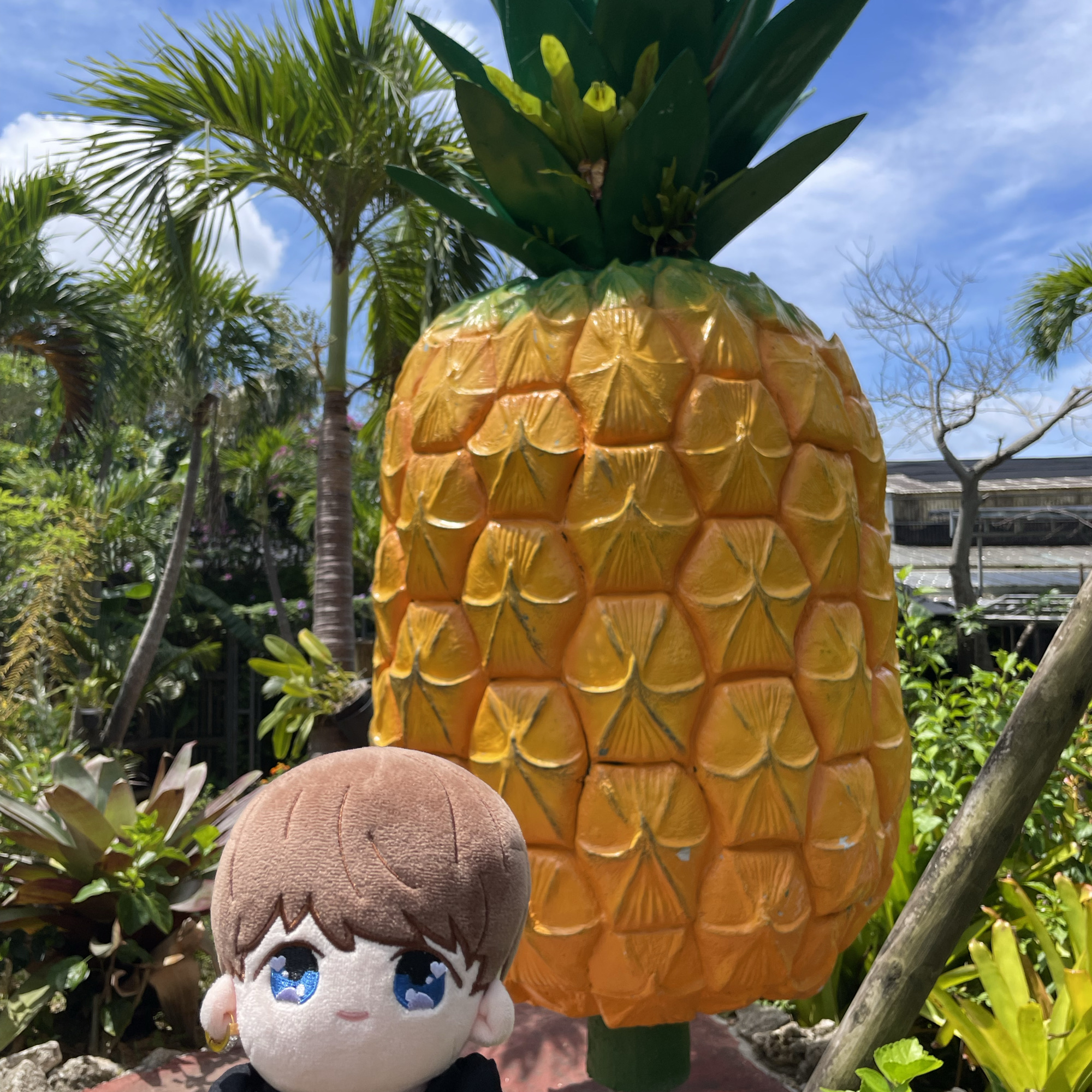 沖縄名護パイナップル園は、パイナップルをテーマに、超かわいい