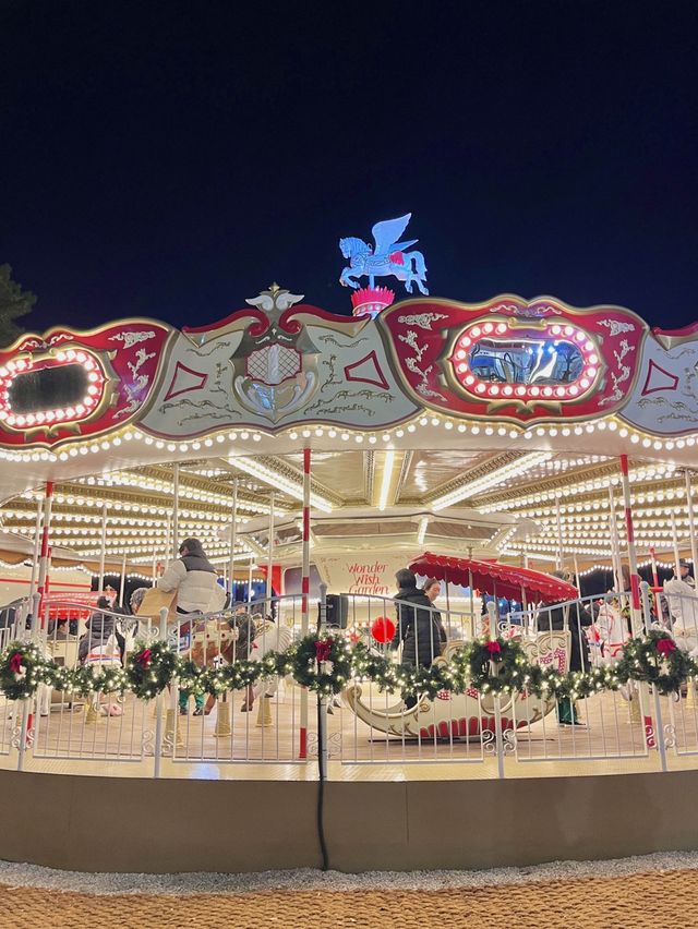 19m짜리 초대형 크리스마스트리🎄✨
