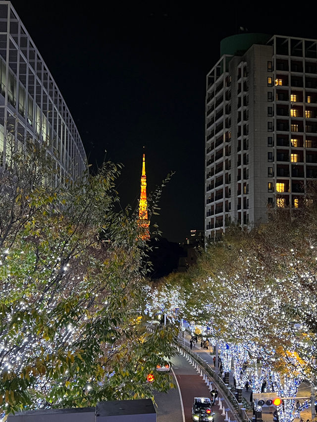 도쿄에서 맞은 크리스마스🎄 롯폰기 일루미네이션과 도쿄타워